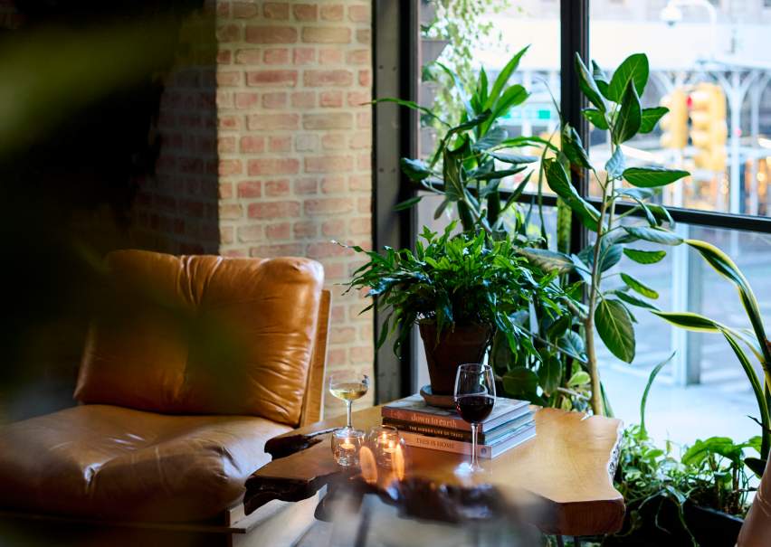  Great Lawn Reception