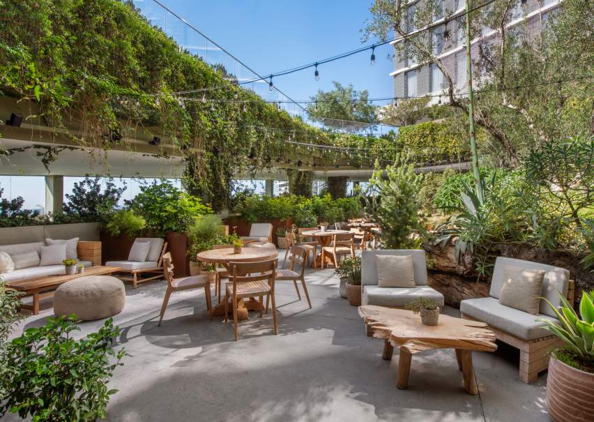 juniper garden seating area