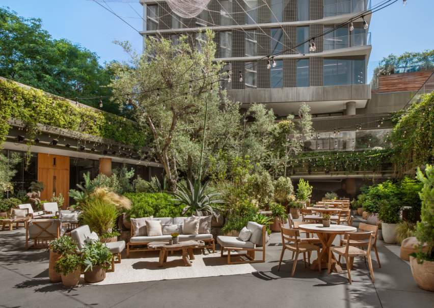 Juniper Lounge and Garden