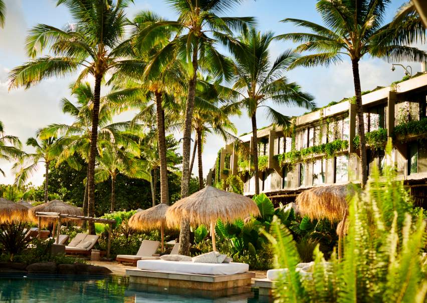 Daybeds by the pool surrounded by palm trees and greenery
