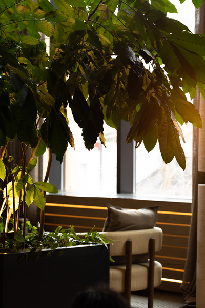 Brooklyn Lobby