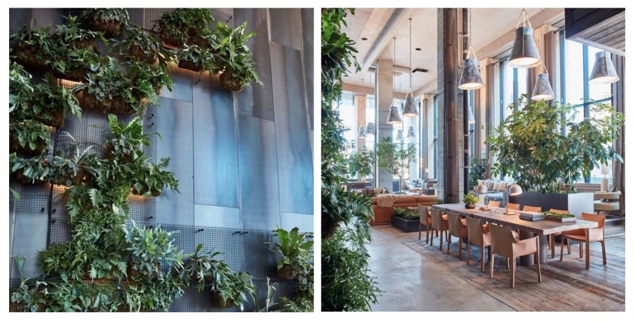 A split image of the greenery in the 1 Hotel Brooklyn Bridge lobby