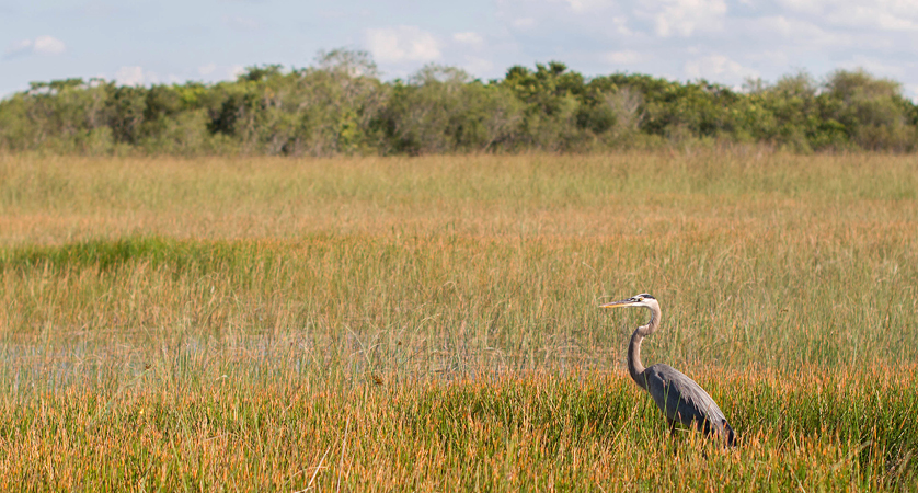 Everglades National Park