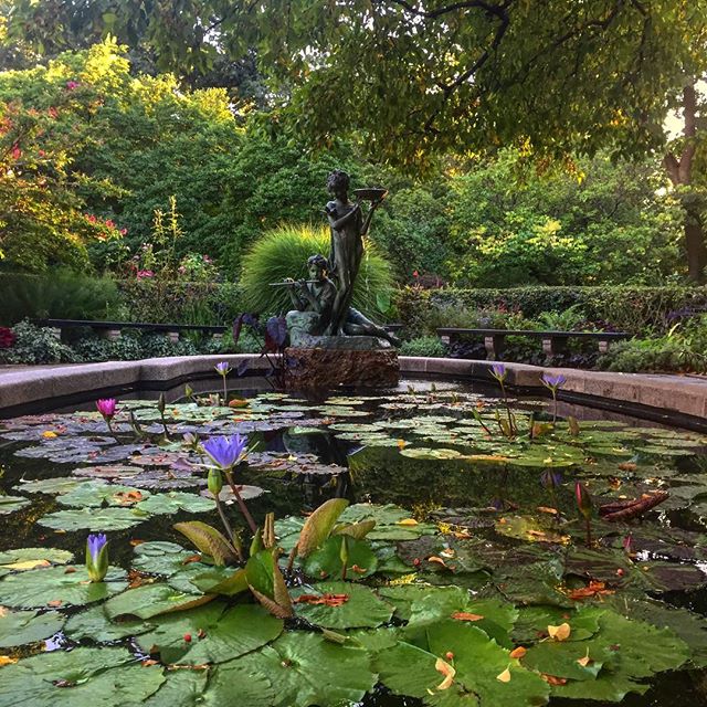 A lily pond water feature at the Conservatory Garden in Central Park.