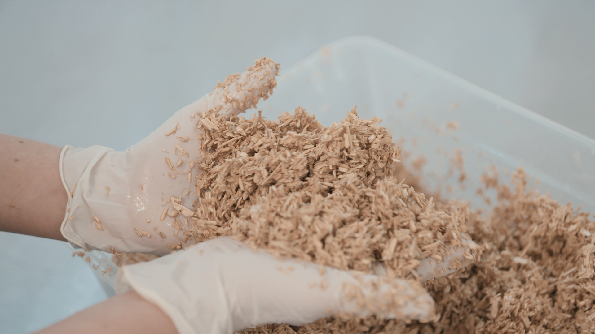 Hands in plastic gloves scooping up wood chips from a container 