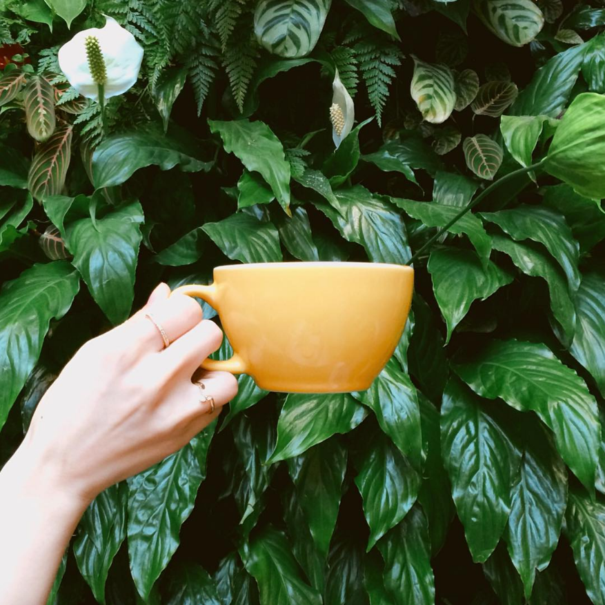 coffee