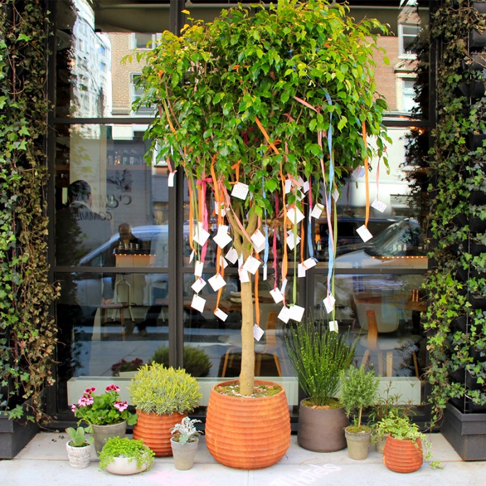 A potted tree decorated with ribbons and paper