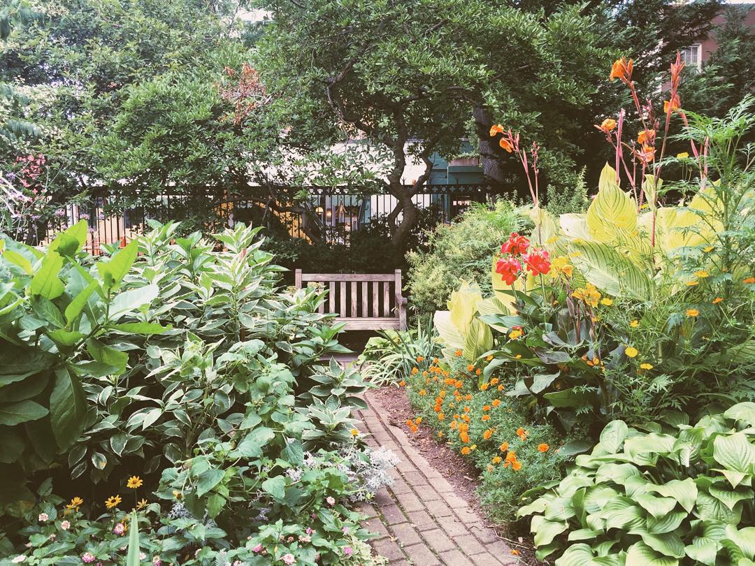 A wooden bench surrounded by green plants and colorful flowers at the Jefferson Market Garden.