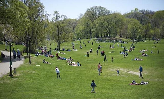 People on a large green lawn at Prospect Park.