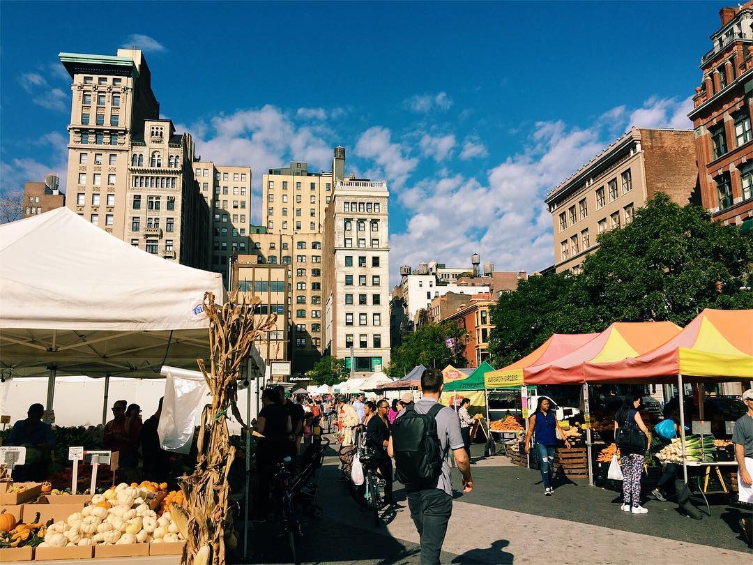 Colorful produce stands at the Union Square Park farmers market.