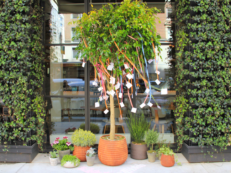 A decorated tree in front of a window