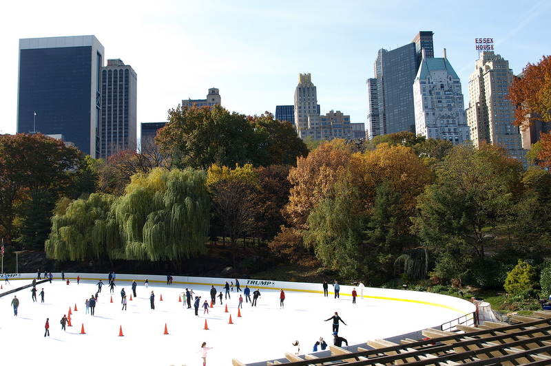 birds-eye-view-wollman-rink