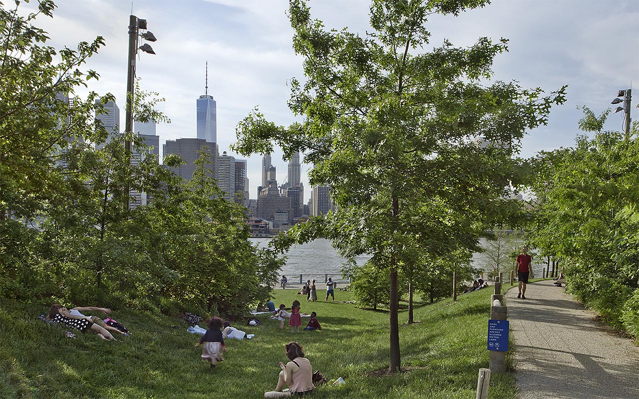 Green grass and trees by the water at Brooklyn Bridge Park