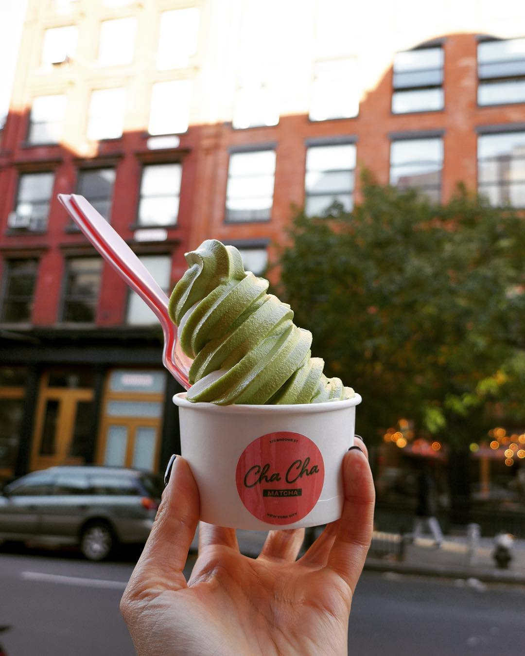 Green matcha frozen yogurt in a white and pink Cha Cha cup