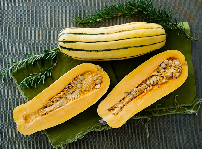 Two squash, one cut in half, with sprigs of rosemary