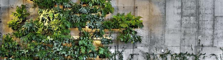 A gray wall with lush greenery sets the backdrop for the hotel lobby sitting area
