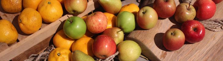 Close up of various fruits strewn across a wooden table