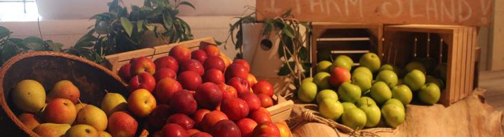 Display of apples and mangos at the South Beach Lobby farmstand