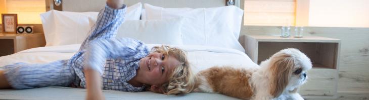 A little boy playing on a bed with a small dog