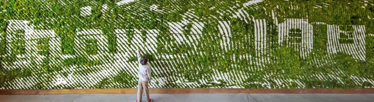 Hollywood Moss Wall with Boy