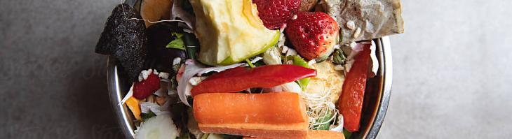 Food Scraps for Composting