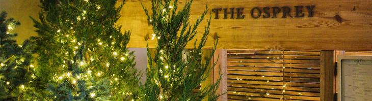 The Osprey Entrance with Christmas Trees