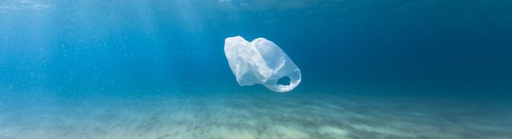 Plastic Bag in Ocean
