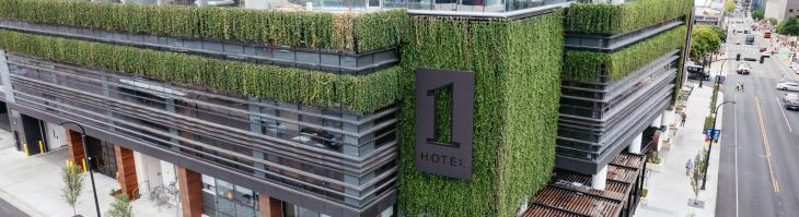 hotel exterior with greenery