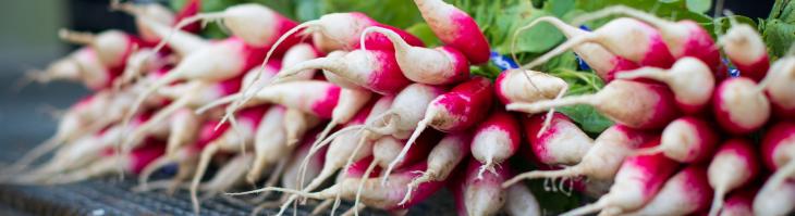 Star Route Radishes