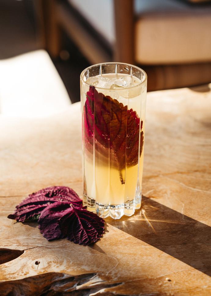 cocktail with leaf