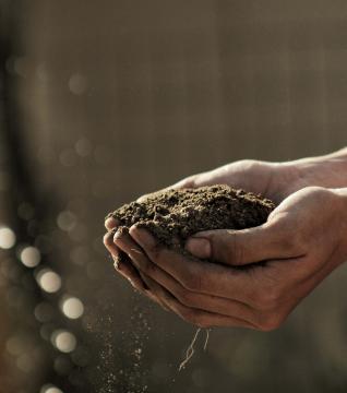 Soil held by cupped hands