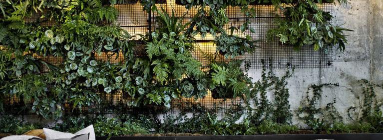 Living plant wall at Brooklyn Bridge