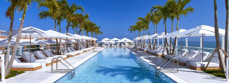 A long blue rooftop pool surrounded by palm trees and lounge chairs