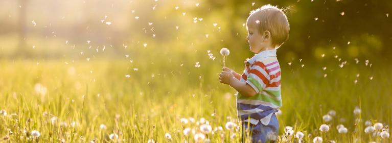 Child Blows Dandelion