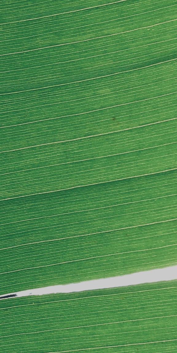 A Note From The Field Covid 19 1 Hotels