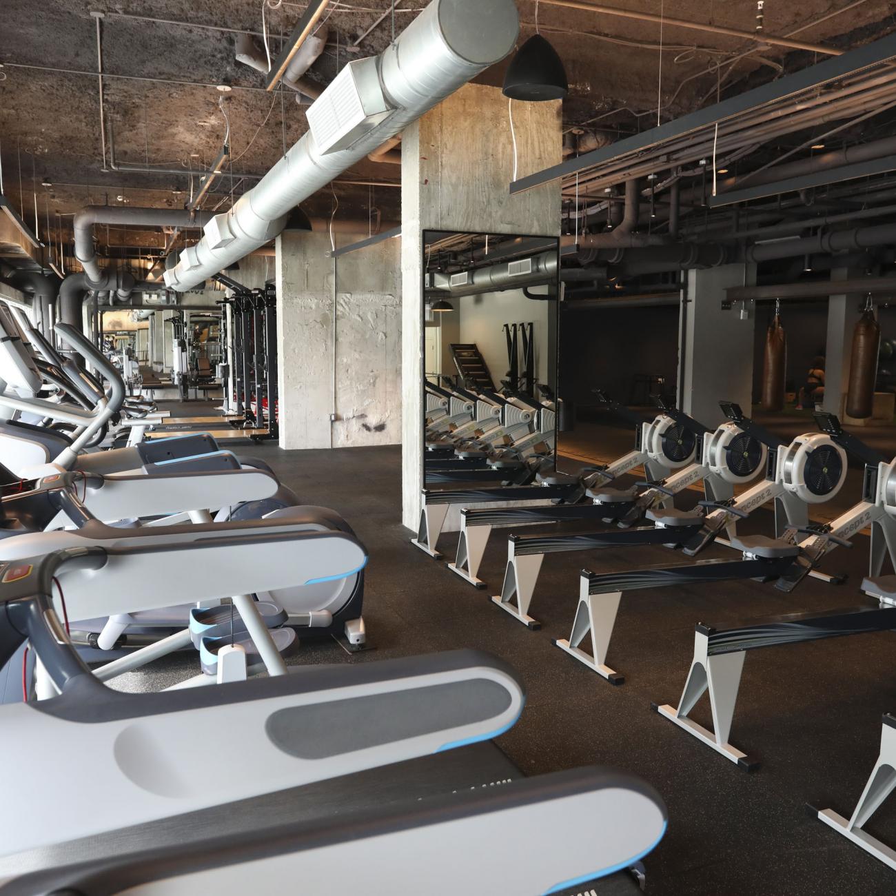 gym anatomy anatomy gym miami