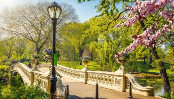 central park nyc hotel