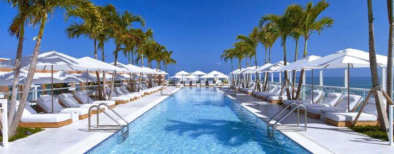A long blue rooftop pool surrounded by palm trees and lounge chairs