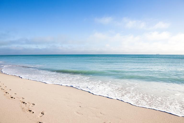 See, Hear, and Taste Miami Daylife Activities 1 Hotels
