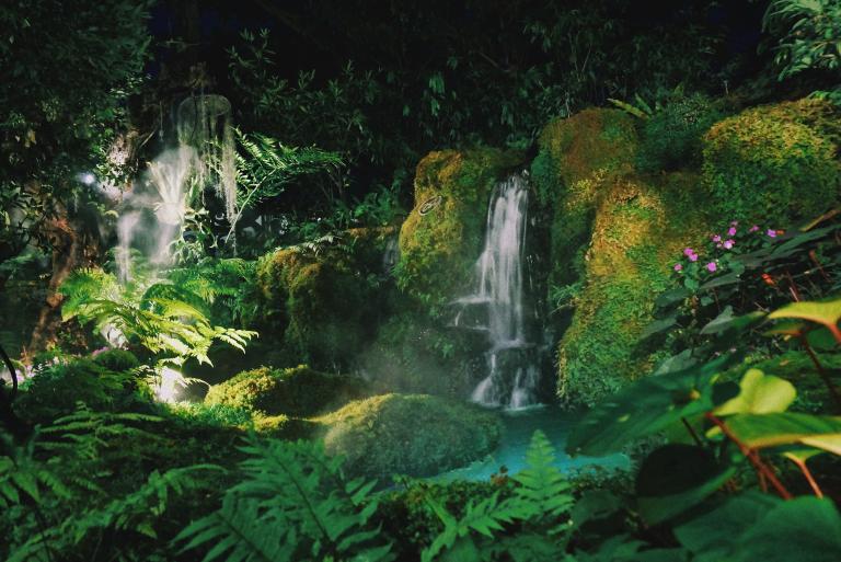 Lush green waterfall