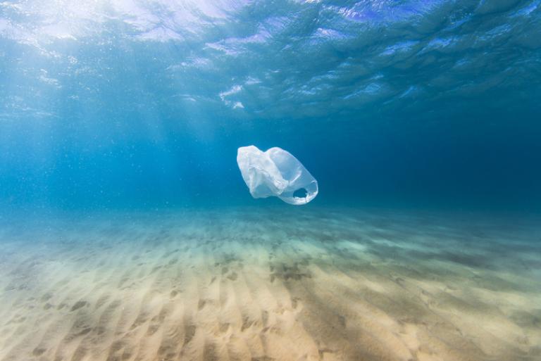 Plastic Bag in Ocean