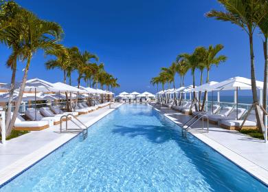 A long blue rooftop pool surrounded by palm trees and lounge chairs